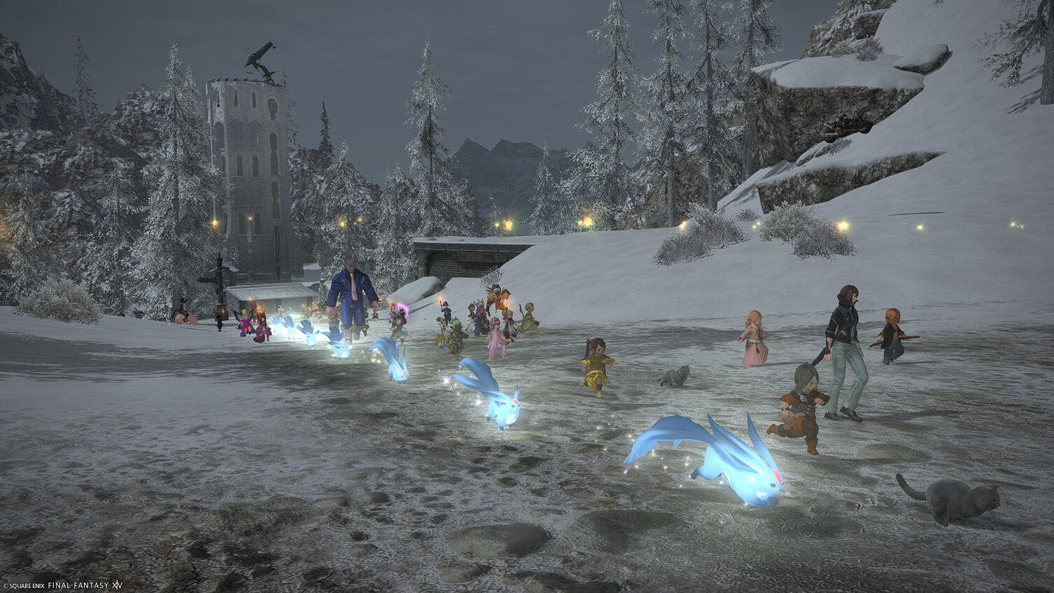 January 3rd place - Granny Cannon